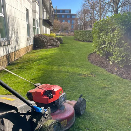 Garden Maintenance in Kent, East Sussex & South London | Gardens of England