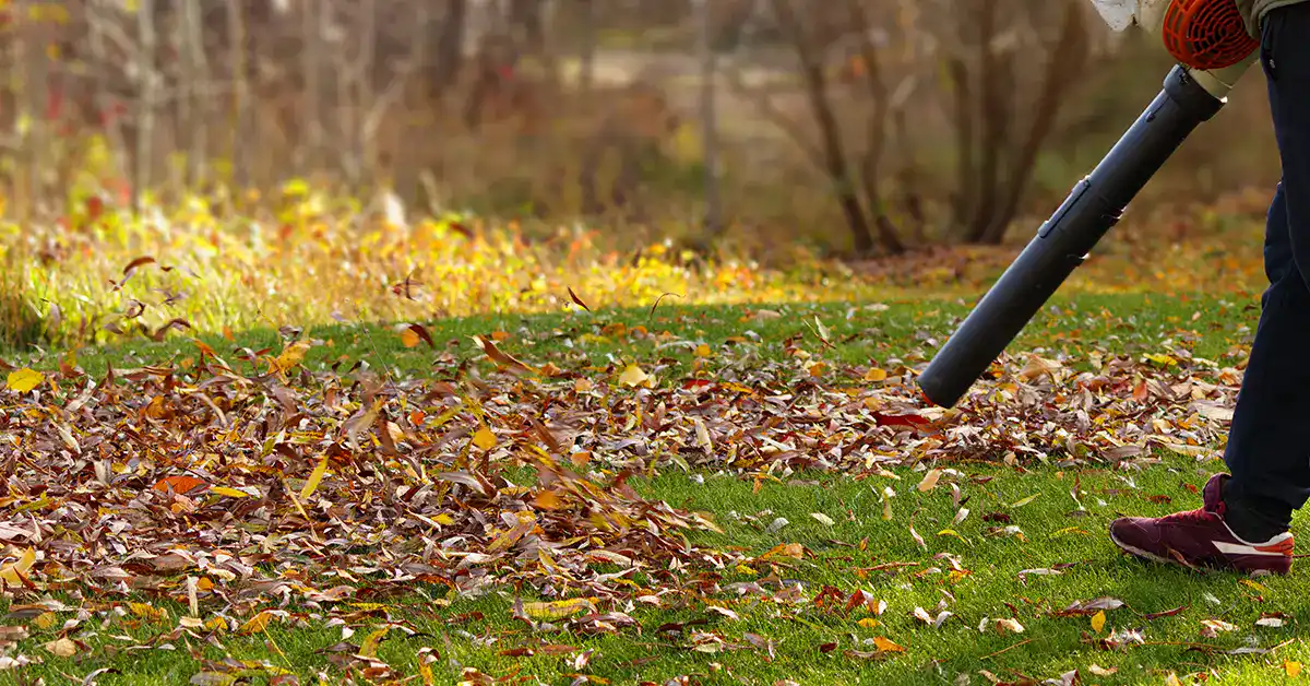 Quiet Gardens and Cosy Tasks